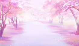 樱花飘落的短视频,春日浪漫瞬间捕捉